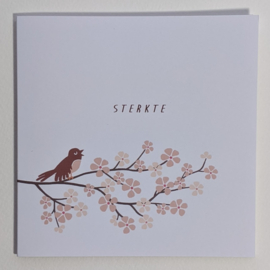 sterkte