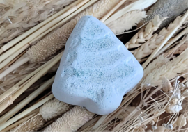 Blueberries Christmas Tree Bath Bomb