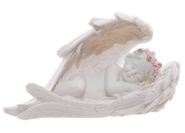 Slapende Cherubijn in vleugel met roze rozen - engel