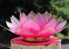 Lotus Ambient Light -Pink, Light Pink with Gold Edge