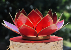 Lotus sfeerlicht rood 1e chakra goudrand 