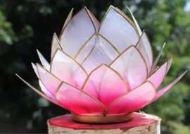 Lotus Sfeerlicht Roze/Lichtroze Goudrand Groot / Lotus Mood Light Pink/Light Pink Gold Edge Large