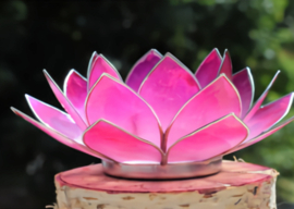 Lotus Mood Light - Pink with Silver Edge