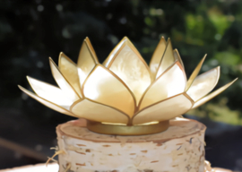 Lotus Sfeerlicht Smoked Goudrand / Lotus Mood Light Smoked Gold edge