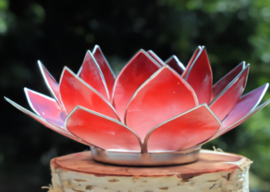 Lotus Sfeerlicht Roze/Rood Zilverrand / Lotus Mood Light Pink/Red Silver Edge