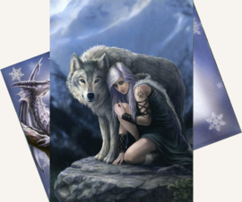 Protector Greeting Card by Anne Stokes