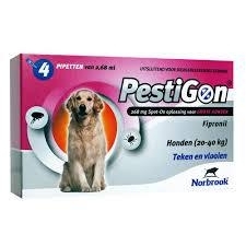 Spot On Hond 20-40kg. 4 pipet