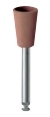EVEFLEX CUP, BRUIN