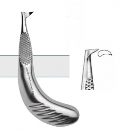 MEDESY MOLAR ROOTS