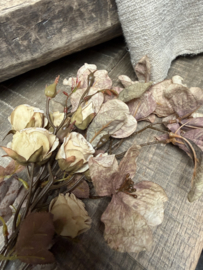 Kunstbloem beige/bruin 72 cm