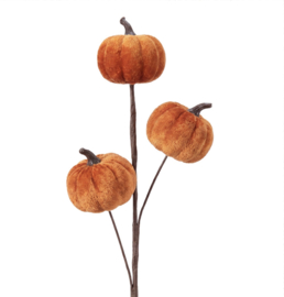 Decoratie tak pompoentjes 15*4*47
