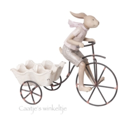 Decoratie konijn op fiets man