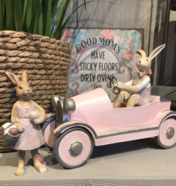 Decoratie konijn in roze auto