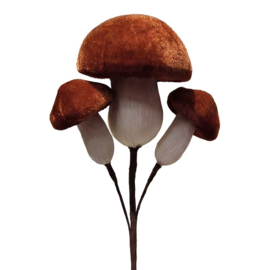 Decoratie herfsttak paddenstoelen bruin 8*52