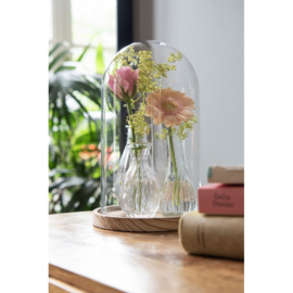 Set van 3 glazen vaasjes incl dop