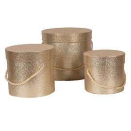 Hoedendoos set van 3 goud/glitter