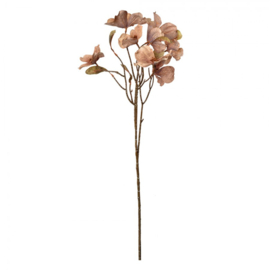 Kunstbloem beige/bruin 72 cm