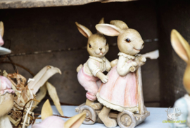 Decoratie konijnen koppel op step