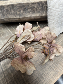 Kunstbloem beige/bruin 72 cm