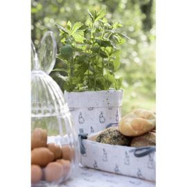 Broodmandje Bunny bunnies