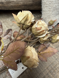 Kunstbloem met rozen beige 73 cm