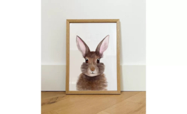 Poster Bunny 21*30