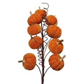 Decoratie tak pompoentjes oranje 6*4*56