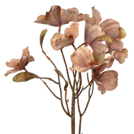 Kunstbloem beige/bruin 72 cm