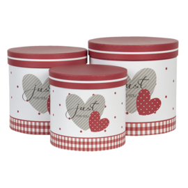 Hoedendoos set van 3 hartje rood/wit