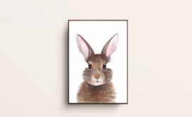 Poster Bunny 21*30