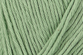 Schachenmayr Organic Cotton - 00072 Zee Groen