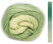 LANG Yarns - Jawoll Twin Socks 0508 Groen