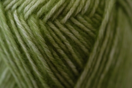 Stone Washed - 806 Canada Jade