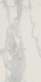 KALE STATUARIO MATTE Vloertegel 60x120cm