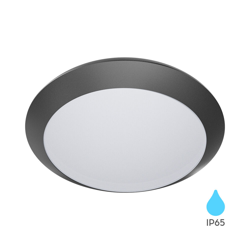 Braytron Ceiling Light NAPOLI 1xE27 PC Grey IP65