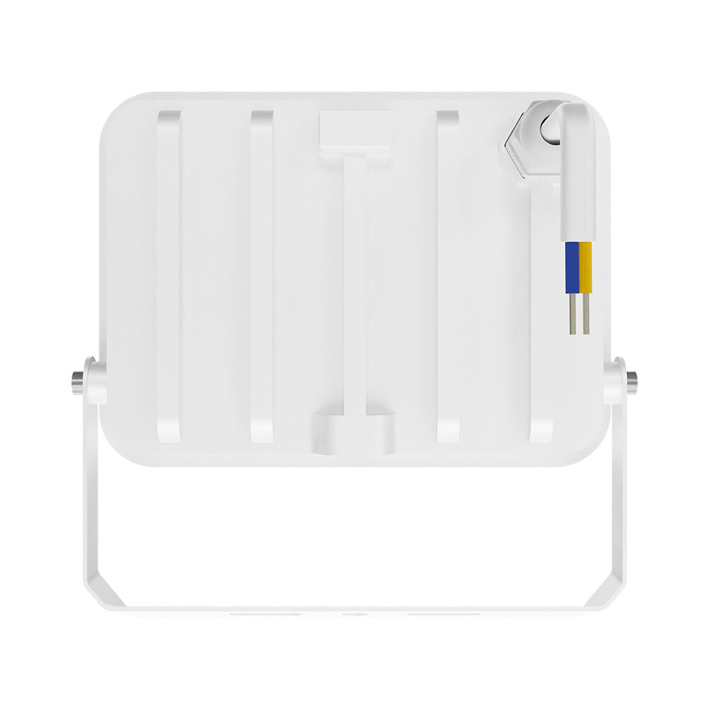 Braytron 100W LED Floodlight White CCT 3IN1 IP65