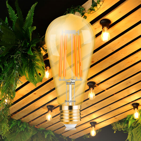 Braytron 6W E27 ST64 DIMMABLE 2200K LED Bulb