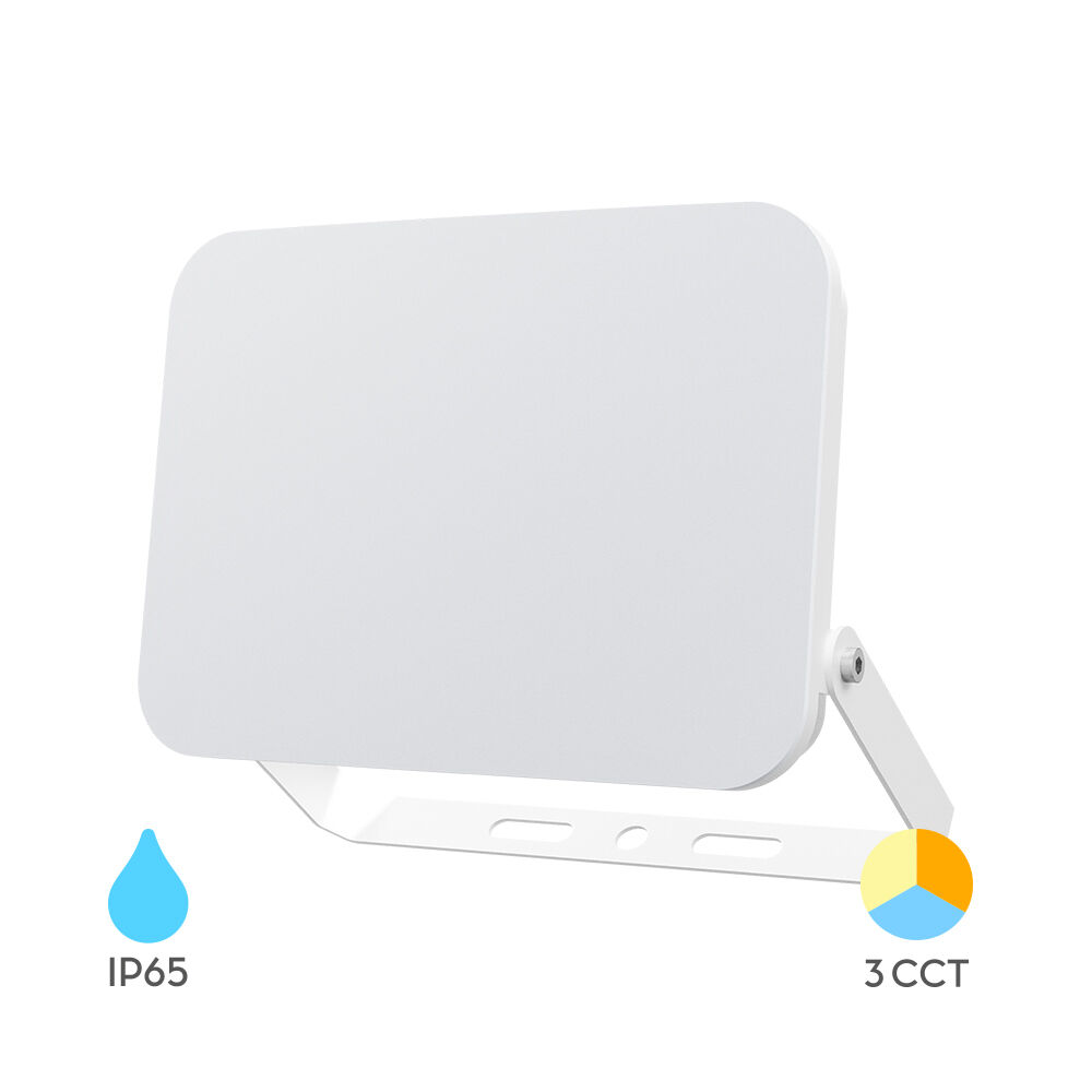 Braytron 50W LED FLOODLIGHT WHITE CCT 3IN1 IP65