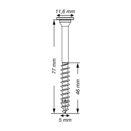 SPAX Tellerkopschroef WIROX 5.0 x 77 T20 Discuskop (150x) 251010500775