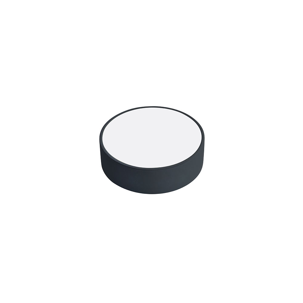 Horoz Sofia Black 18W Led Opbouw Round