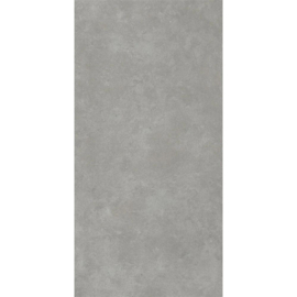 KALE R1045 CEMENT 2.0 COLD GREY Vloertegel 60x120cm 1,44 P