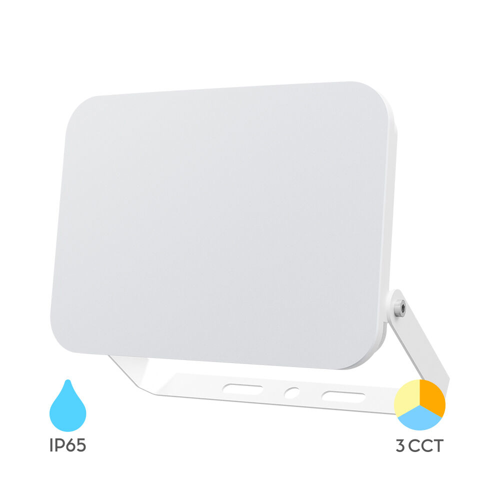 Braytron 100W LED Floodlight White CCT 3IN1 IP65