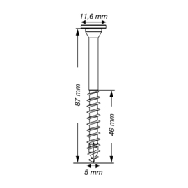 SPAX Tellerkopschroef WIROX 5.0 x 87 T20 Discuskop (150x) 251010500875