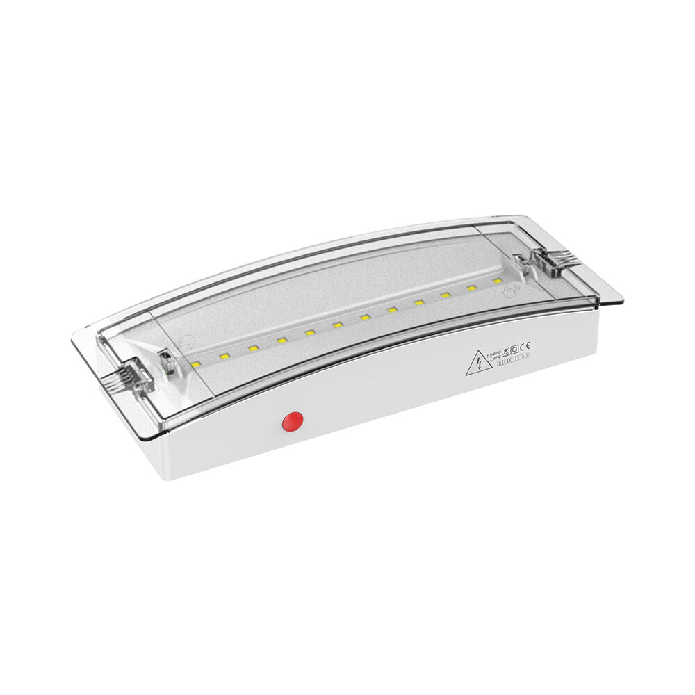 Braytron EXIT LED 3W DUAL IP54 White Emergency Exit Lamp