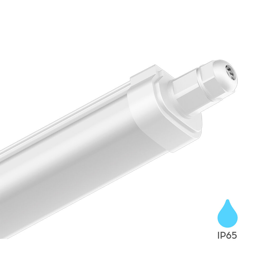 Braytron PROLINE IPG M 45W 6500K IP65 Waterproof Fixture