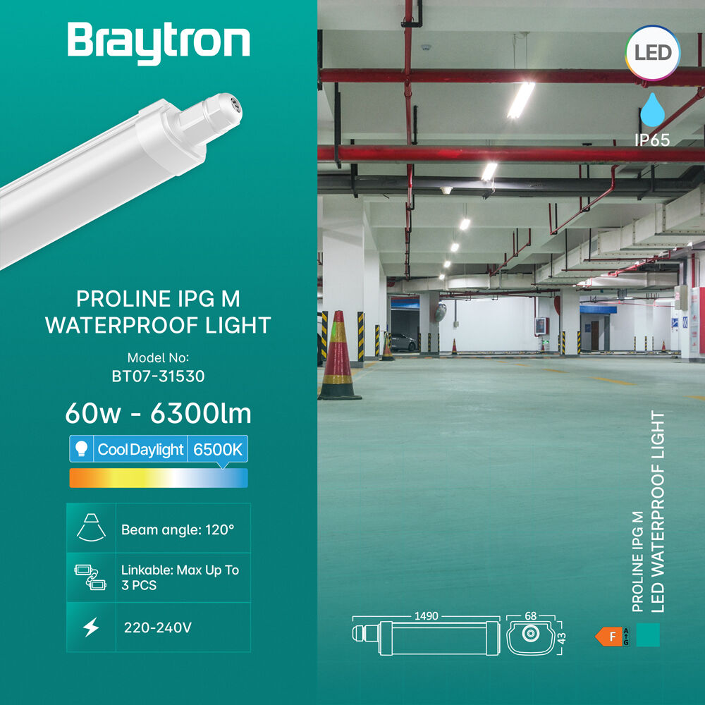 Braytron PROLINE IPG M 60W 6500K IP65 Waterproof Fixture