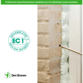 Zwaluw NBS PU-Gunfoam 700 ml. 30618599