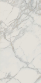 KALE STATUARIO MATTE Vloertegel 60x120cm 1,44 P