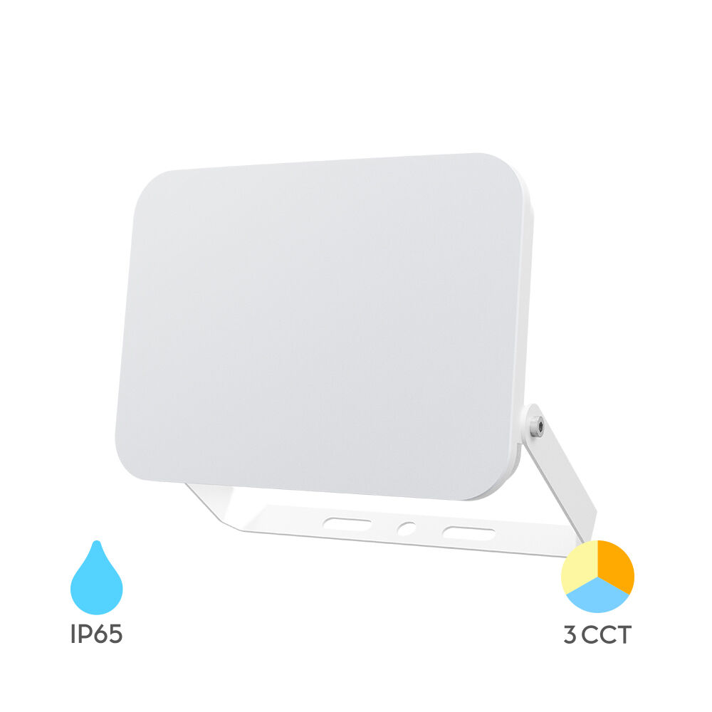 Braytron 30W LED Floodlight WHITE CCT 3IN1 IP65
