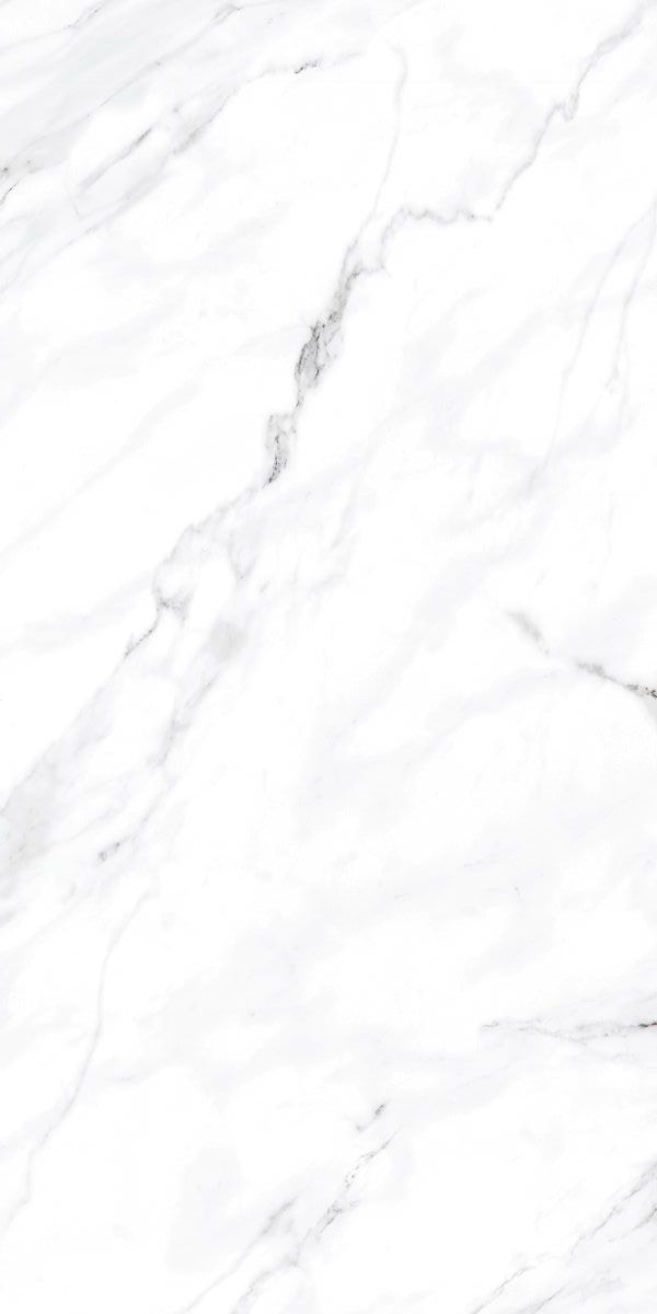 MONTEBELLO Polished Vloertegel 60x120cm